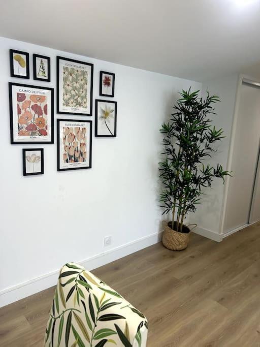 Cocon Chaleureux Au Coeur De Mirepoix Apartment Mirepoix  Bagian luar foto